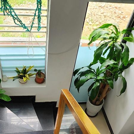 Sena Home 3#1-Near Danang Dragon Bridge-Han River Esterno foto
