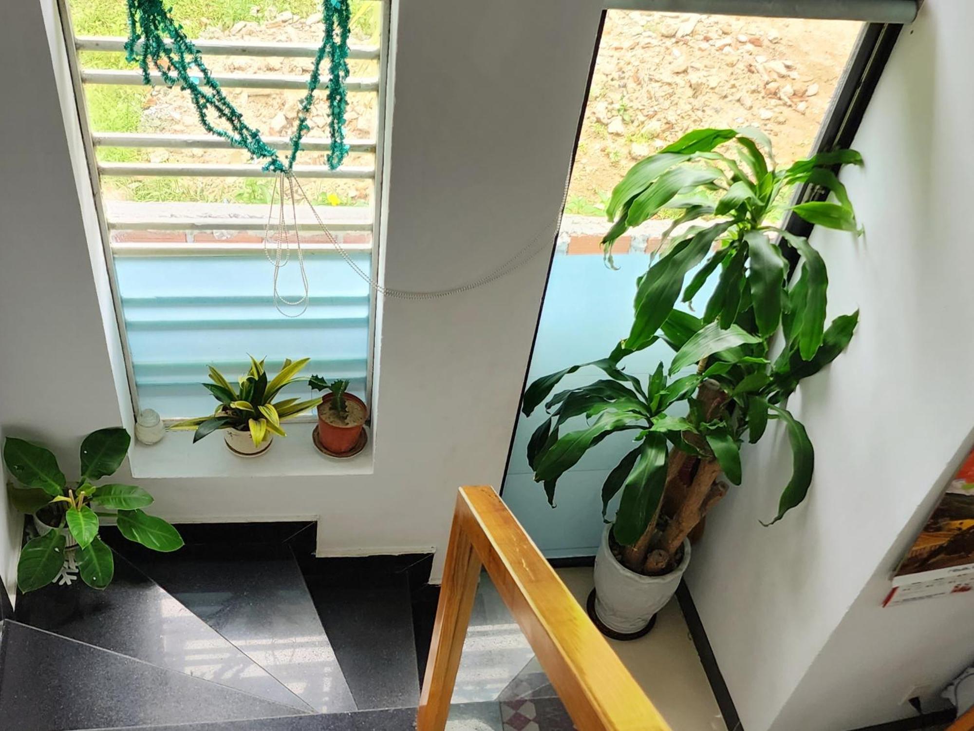 Sena Home 3#1-Near Danang Dragon Bridge-Han River Esterno foto