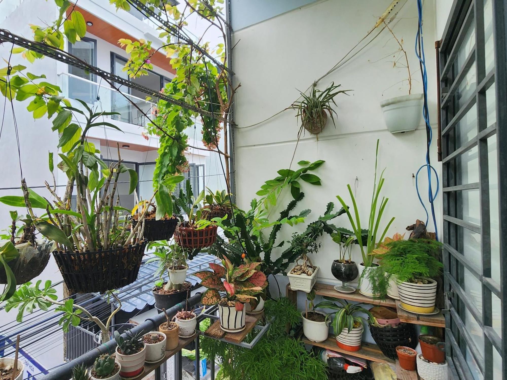 Sena Home 3#1-Near Danang Dragon Bridge-Han River Esterno foto